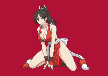 1girl breasts fatal_fury highres large_breasts long_hair shiranui_mai solo