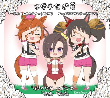 3girls :d ^_^ air_groove_(umamusume) animal_ears arm_up black_hair blush breasts buruma capriccyo chibi closed_eyes commentary_request crown eyes_visible_through_hair fang flower gradient_background hair_over_one_eye hand_up highres horse_ears horse_girl horse_tail jacket kneeling large_breasts long_sleeves marvelous_sunday_(umamusume) mini_crown multiple_girls open_mouth original_race_uniform_(umamusume) pink_background pink_shorts puffy_long_sleeves puffy_short_sleeves puffy_sleeves race_bib red_buruma red_jacket shirt shoes short_sleeves shorts smile socks standing t.m._opera_o_(umamusume) tail thighhighs track_jacket translation_request twintails twitter_username umamusume v-shaped_eyebrows white_background white_flower white_shirt white_shoes white_socks white_thighhighs
