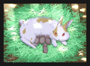 animal_focus brown_fur day grass grey_fur highres on_grass otomeza_ryuseigun rabbit red_eyes touhou twitter_username two-tone_fur white_fur