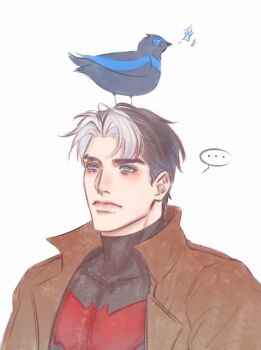 animalization bat_signal batman_(series) batman_symbol black_bodysuit bodysuit brothers brown_jacket dc_comics dick_grayson grey_bodysuit highres jacket jason_todd jiangchunwei7 multicolored_bodysuit multicolored_hair muscular muscular_male nightwing open_clothes red_hood_(dc) red_hood_and_the_outlaws siblings superhero_costume taut_bodysuit two-tone_bodysuit two-tone_hair