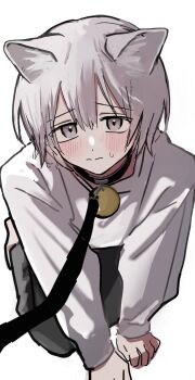 1boy absurdres all_fours animal_collar animal_ears arata20250328 black_collar black_pants blush cat_boy cat_ears closed_mouth collar commentary_request double-parted_bangs full_body grey_eyes grey_hair hair_between_eyes highres leash looking_at_viewer male_focus original pants shirt short_hair simple_background sketch small_sweatdrop solo viewer_holding_leash white_background white_shirt