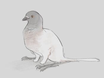 animal animal_focus beak bird commentary creature creature_focus english_commentary finchwing grey_background griffin highres no_humans orange_eyes original pigeon simple_background sitting solo