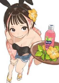 1girl absurdres animal_ears arm_out_of_sleeve black_hair black_leotard bottle breasts cleavage closed_mouth denim denim_shorts drink fake_animal_ears fanged_bangs flip-flops flower from_above hand_on_own_knee hawaiian_shirt hibiscus highres holding holding_tray leotard leotard_under_clothes light_blush looking_at_viewer mashiro_ka multicolored_hair open_fly original pink_hair plastic_bottle rabbit_ears sandals shirt short_hair short_shorts shorts simple_background small_breasts smile solo spaghetti_strap tray two-tone_hair white_background yellow_flower