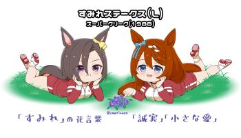 2girls :d :i air_groove_(umamusume) animal_ears blue_bow blue_eyes blush bow braid breasts brown_hair buruma capriccyo closed_mouth commentary_request crossed_legs ear_bow eyes_visible_through_hair gym_shirt gym_shorts gym_uniform hair_between_eyes hair_over_one_eye highres horse_ears horse_girl horse_tail jacket large_breasts leg_up long_hair lying multiple_girls on_grass on_stomach open_mouth purple_eyes red_buruma red_jacket shirt shoe_soles shoes shorts smile socks super_creek_(umamusume) tail track_jacket translation_request umamusume very_long_hair white_shirt white_shoes white_socks yellow_bow