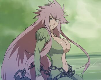 Rule 34 | 1girl, artist request, bleach, bleach: zanpakutou ibun hen, breasts, chain, fang, female focus, fur, green eyes, long hair, looking at viewer, navel, pink hair, solo, very long hair, zabimaru