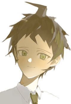 1boy absurdres ahoge brown_eyes brown_hair cho_koko-kyu_no_washi closed_mouth collared_shirt commentary_request danganronpa_(series) danganronpa_2:_goodbye_despair green_necktie highres hinata_hajime male_focus necktie portrait shirt short_hair smile solo white_shirt
