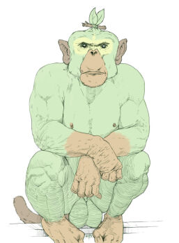 black_eyes chimpanzee closed_mouth crossed_arms gen_8_pokemon grookey in_tree large_testicles leaf looking_at_viewer male_focus monkey nintendo no_humans photo-referenced pokemon pokemon_(creature) realistic signature simple_background sir_(artist) sitting sitting_in_tree solo testicles tree white_background