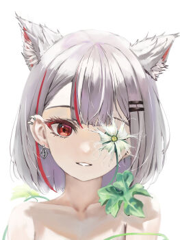 1girl absurdres animal_ear_fluff animal_ears armpit_crease bare_shoulders bob_cut cat_ears center-flap_bangs collarbone commentary_request double-parted_bangs earrings eyelashes flower flower_over_eye gourd_blossom grey_hair hair_ornament hairclip highres jewelry korean_commentary leaf looking_at_viewer multicolored_hair neneko_mashiro nonekong one_eye_covered parallel_hairclips parted_lips red_eyes short_hair simple_background smile solo stellive streaked_hair upper_body virtual_youtuber white_background white_flower