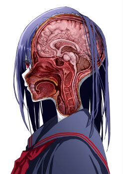 1girl blue_hair blue_sailor_collar blue_shirt brain closed_mouth cross-section expressionless from_side guro highres medium_hair neckerchief original pale_skin profile red_eyes red_neckerchief sailor_collar school_uniform serafuku shirt simple_background solo teeth white_background yu-ki_iwata