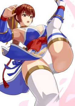 1girl absurdres breasts dead_or_alive dead_or_alive_6 highres kasumi_(doa) large_breasts long_hair ninja ponytail solo standing standing_on_one_leg yagi2013