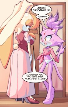 2girls absurdres animal_ears blaze_the_cat blush cat_ears cat_girl cat_tail commentary commission english_commentary forehead_jewel furry furry_female highres long_skirt multicolored_fur multiple_girls nano_(nanolovesyou) panties pink_skirt purple_fur rabbit_ears rabbit_girl rabbit_tail second-party_source skirt sonic_(series) speech_bubble sweatdrop tail topknot underwear vanilla_the_rabbit white_panties yellow_eyes