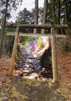 1girl absurdres blonde_hair bow commentary conifer double_exposure dress forest hair_bow highres holding holding_umbrella layered_dress light_smile long_hair long_sleeves nature outdoors photo_background purple_tabard purple_umbrella red_bow solo stairs stone_stairs tabard tooya0130 torii touhou tree umbrella very_long_hair white_dress wide_sleeves yakumo_yukari