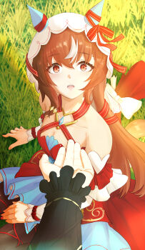 2girls absurdres admire_groove_(umamusume) animal_ears bare_shoulders black_sleeves blush bow breasts brown_hair cleavage collarbone commentary_request detached_sleeves dress ear_covers ear_ribbon ginmusou373 grass hair_between_eyes hair_ornament highres horse_ears horse_girl horse_tail long_hair looking_at_viewer multiple_girls open_mouth outstretched_arm red_dress red_eyes ribbon small_breasts still_in_love_(scarlet_vow_raiment)_(umamusume) still_in_love_(umamusume) tail umamusume veil white_streaks white_veil