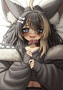 1girl absurdres animal_collar animal_ears bandaid bandaid_on_face blue_eyes bone_hair_ornament collar commentary dog_ears fang hair_ornament highres indie_virtual_youtuber kamiko_kana kamiko_kana_(wolfdog) leash lobsteranian multicolored_hair
