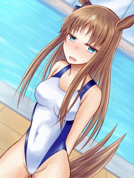 1girl animal_ears blue_eyes blue_hair blush breasts commentary_request competition_swimsuit covered_navel dutch_angle embarrassed grass_wonder_(umamusume) highleg highleg_one-piece_swimsuit highres horse_ears horse_tail long_hair medium_breasts nose_blush one-piece_swimsuit paomaru_(inotsume_kei) pool poolside solo swimsuit tail two-tone_swimsuit umamusume white_one-piece_swimsuit