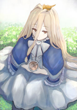 Rule 34 | 1girl, animal, animal on head, bird, bird on head, blue capelet, bow, brown eyes, brown hair, capelet, commentary request, cup, dress, hair between eyes, highres, holding, holding cup, long hair, looking at viewer, michikusaboushi (p o q), on head, revision, sense (sousou no frieren), smile, solo, sousou no frieren, stille (sousou no frieren), stirrer, tea, very long hair, white bow, white dress
