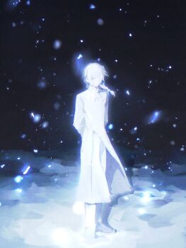 1boy braid commentary_request fate/grand_order fate_(series) full_body hair_between_eyes hair_over_shoulder highres jacket long_hair long_sleeves looking_at_viewer male_focus marisbury_animusphere night pants single_braid smile snow snowing solo sonnambulo777 standing white_hair winter