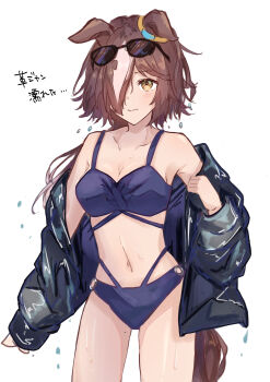 1girl absurdres alternate_costume animal_ears bikini black_jacket blush breasts brown_hair cleavage commentary cowboy_shot eyewear_on_head hair_over_one_eye highres horse_ears horse_girl jacket leather leather_jacket long_hair long_sleeves looking_at_viewer multicolored_hair navel pitsugi purple_bikini simple_background small_breasts solo stomach streaked_hair sunglasses swimsuit translated umamusume vodka_(umamusume) wet_jacket white_background white_hair yellow_eyes