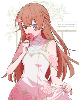 1girl alternate_costume blunt_ends blunt_sidelocks breasts brown_hair closed_mouth clothes_grab commentary_request cosplay cowboy_shot crossed_bangs dress dress_grab fan_request floral_print flower grey_eyes hair_between_eyes hanasato_minori hand_up highres holding holding_flower jewelry lace lace-trimmed_dress lace_trim long_hair looking_down marshmallow_(site) necklace official_alternate_hair_length official_alternate_hairstyle ootori_emu ootori_emu_(cosplay) pearl_necklace pink_dress pink_flower pink_rose project_sekai red_flower red_rose request_inset rose screenshot_inset shinnen_kotohogu_inori_no_mai_(project_sekai) sidelocks simple_background sleeveless sleeveless_dress small_breasts smile solo teacrown tonari_ni_tatsu_yasashii_anata_e_(project_sekai) wedding_dress white_background