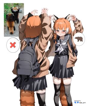 2girls absurdres arms_up artist_name backpack bag bear black_bow black_eyes black_sailor_collar black_serafuku black_skirt black_thighhighs blush bow braid brown_jacket claw_pose commentary creature_and_personification english_commentary extra_ears hair_bow highres jacket long_hair multicolored_hair multiple_girls neckerchief nisp_art open_clothes open_jacket orange_hair original personification photo-referenced photo_inset pleated_skirt red_panda red_panda_ears red_panda_girl red_panda_tail reference_inset sailor_collar school_uniform serafuku side_braid simple_background single_braid skirt spoken_animal spoken_x thighhighs two-tone_hair white_background white_hair white_neckerchief zettai_ryouiki