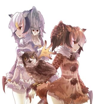 2girls animal animal_on_arm animal_on_shoulder back-to-back bird bird_on_arm bird_on_shoulder brown_dress brown_eyes brown_gloves brown_hair brown_wings commentary_request cowboy_shot creature_and_personification dress eurasian_eagle_owl eurasian_eagle_owl_(kemono_friends) feathered_wings fur-trimmed_dress fur_collar fur_trim gloves grey_dress grey_wings head_wings kemono_friends long_sleeves looking_afar multiple_girls northern_white-faced_owl northern_white-faced_owl_(kemono_friends) open_mouth owl pantyhose personification pom_pom_(clothes) shinjitsu_no_kuchi short_hair simple_background white_background white_hair white_pantyhose wings yellow_eyes