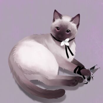 absurdres animal animal_collar animalization bei_lin broken cat chinese_commentary collar commentary_request flower full_body heterochromia highres looking_at_viewer lying neck_flower no_humans on_side partial_commentary path_to_nowhere purple_background purple_eyes red_eyes schorl_(path_to_nowhere) shadow shalom_(path_to_nowhere) siamese_cat simple_background symbol-shaped_pupils triangle-shaped_pupils white_cat white_flower wrist_wrap