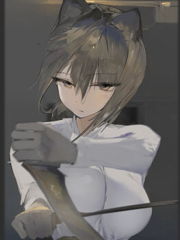 1girl animal_ears arknights breasts brown_eyes brown_hair closed_mouth gloves highres holding holding_weapon large_breasts long_sleeves looking_at_viewer robin_(arknights) shirt sinoda solo weapon white_shirt