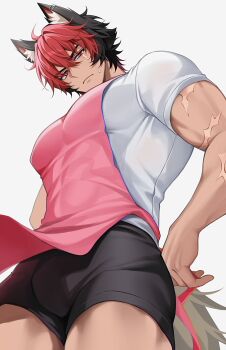 Rule 34 | 1boy, absurdres, animal ear fluff, animal ears, apron, black hair, black male underwear, boxers, bulge, dog boy, from below, highres, komano manato, male focus, male underwear, multicolored hair, multiple scars, muscular, muscular male, pectorals, pink apron, red eyes, red hair, scar, scar on arm, scar on face, shirt, simple background, solcha, solo, two-tone hair, underwear, white background, white shirt, zenless zone zero