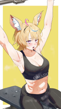 1girl ahoge alternate_costume alternate_hairstyle animal_ear_fluff animal_ears armpits arms_up bench_press black_pants black_sports_bra blonde_hair blush border breasts character_name cleavage clothes_writing commentary_request cowboy_shot crop_top exercising fang fox_ears fox_girl heart heart-shaped_pupils highres hololive large_breasts multicolored_hair navel omaru_polka on_bench open_mouth outside_border pants purple_eyes simple_background sitting solo sports_bra steaming_body stomach streaked_hair sweat symbol-shaped_pupils uzuradobin virtual_youtuber weightlifting white_border yellow_background yoga_pants