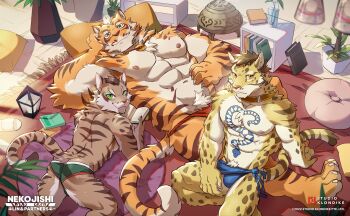 3boys abs animal_ears artist_request ass bara bare_pectorals biceps blue_fundoshi book brown_fur bulge carpet cat_boy cat_ears cat_tail claws closed_mouth commentary copyright_name dated english_commentary fundoshi furry furry_male green_male_underwear highres holding holding_book incense_burner japanese_clothes jewelry leopard_boy leopard_ears leopard_tail likulau_(nekojishi) lin_hu_(nekojishi) looking_at_viewer looking_up lying male_focus male_underwear multiple_boys muscular muscular_male navel necklace nekojishi nipples official_art on_back on_floor on_stomach orange_fur pectorals pillow red_fundoshi shu_chi_(nekojishi) sitting slippers smile spotted_fur striped_fur tail tiger_boy tiger_ears tiger_stripes tiger_tail toned toned_male topless_male underwear vase