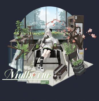 1girl arknights asymmetrical_clothes asymmetrical_sleeves bead_bracelet beads black_bloomers bloomers blush bracelet breasts bun_cover crossed_ankles double_bun english_text feather_hair full_body gacha_splash_(style) gloves green_gloves grey_hair hair_between_eyes hair_bun highres holding huakaidanmoxiang indoors jewelry long_hair long_sleeves looking_at_viewer mulberry_(arknights) mulberry_(plant_crude_drug)_(arknights) official_alternate_costume petals plant potted_plant purple_eyes shoes single_glove sitting sitting_on_table socks solo table tachi-e underwear very_long_hair white_hair wooden_floor