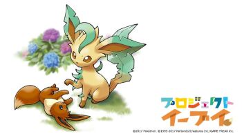 animal_focus artist_request blue_flower commentary_request company_name copyright_name copyright_notice eevee evolutionary_line flower gen_1_pokemon gen_4_pokemon grass leafeon lying nintendo no_humans official_art pokemon pokemon_(creature) pokemon_focus purple_flower second-party_source simple_background translation_request white_background