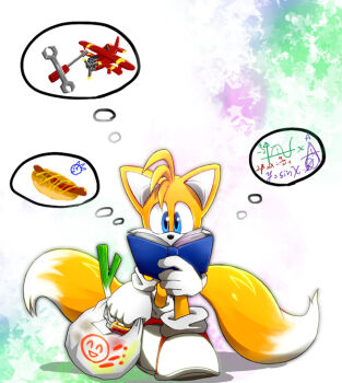 bag book calculator child chili_dog fox imagining list misuta710 multiple_tails plane reading sega shopping shopping_bag shota sonic_(series) sonic_the_hedgehog tail tails_(sonic) tornado_(airplane)_(sonic) two_tails wakling wrench