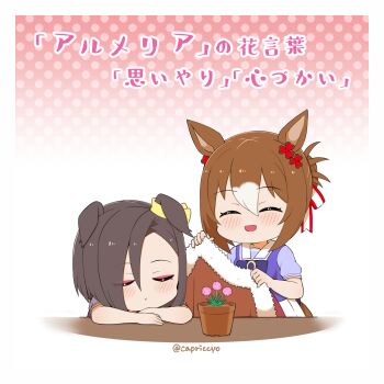 2girls ^_^ air_groove_(umamusume) animal_ears blush bow brown_hair capriccyo chibi closed_eyes commentary_request covering_with_blanket ears_down fine_motion_(umamusume) flower flower_pot gradient_background highres horse_ears horse_girl horse_tail multicolored_hair multiple_girls pink_background pink_flower pleated_skirt polka_dot polka_dot_background puffy_short_sleeves puffy_sleeves purple_bow purple_shirt school_uniform shirt short_sleeves skirt sleeping tail tracen_school_uniform translation_request two-tone_hair umamusume white_background white_hair white_skirt