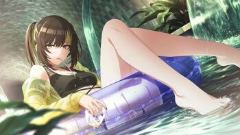 1girl barefoot bikini black_bikini black_hair blonde_streaks breasts commentary cup drinking_straw drinking_straw_in_mouth english_commentary feet fingernails game_cg holding holding_cup idolmaster idolmaster_shiny_colors ikaruga_luca indoors innertube jacket knees_up looking_at_viewer multicolored_hair nail_polish official_alternate_costume official_alternate_hairstyle official_art on_innertube pool purple_nails see-through_clothes see-through_jacket short_hair solo streaked_hair swim_ring swimsuit third-party_source toenail_polish toenails toes twintails yellow_eyes yellow_jacket