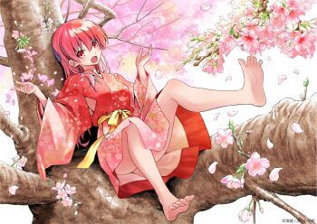 1girl armpit_cutout bare_legs barefoot cherry_blossoms clothing_cutout commentary_request convenient_leg copyright_notice falling_petals feet flower full_body hands_up hata_kenjirou in_tree japanese_clothes kimono official_art open_mouth petals pink_flower pink_hair pink_petals red_eyes red_kimono sash sitting sitting_in_tree solo tonikaku_kawaii tree white_background yellow_sash yuzaki_tsukasa