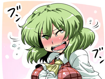 1girl ascot blush breasts closed_eyes female_focus green_hair highres kazami_yuuka large_breasts plaid_clothes plaid_vest portrait reference_work shaking_head short_hair solo tears touhou tukiwani vest