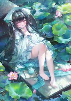 1girl absurdres aqua_dress azur_lane black_hair chang_feng_(a_sky_blue_eclipsing_jade)_(azur_lane) chang_feng_(azur_lane) chen_bin chinese_clothes commentary_request dress flower frilled_dress frilled_sleeves frills hanfu highres long_hair long_sleeves looking_at_viewer lotus lotus_leaf official_alternate_costume open_mouth outdoors pantyhose pink_eyes revision sitting smile solo twintails white_pantyhose wide_sleeves