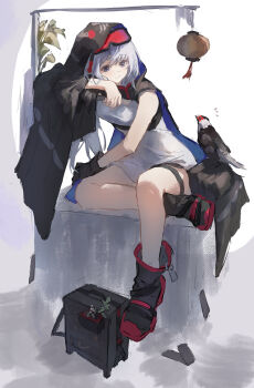 1girl absurdres ankle_boots arknights bare_legs bird black_boots black_cape black_gloves boots cape chinese_commentary commentary_request dress full_body gloves goggles goggles_on_head grey_eyes grey_hair highres hood hood_up hooded_cape long_hair looking_at_animal mulberry_(arknights) multicolored_boots mumu_millhayes pouch red_boots short_dress sitting sleeveless sleeveless_dress solo thigh_strap two-tone_boots white_dress