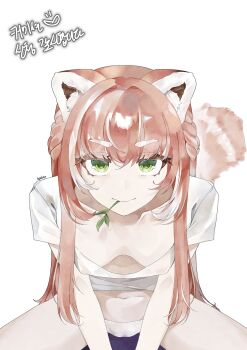 1girl absurdres animal_ear_fluff animal_ears bamboo_leaf breasts cameltoe green_eyes highres indie_virtual_youtuber invisible_chair looking_at_viewer navel panties red_panda_ears red_panda_girl red_panda_tail searoach_otaku see-through_clothes see-through_shirt shirt sitting small_breasts solo stomach underwear virtual_youtuber white_panties white_shirt yuria_of_ailurus
