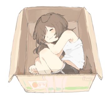 1girl :3 animal_ears armpits bare_arms bare_shoulders black_shorts blush box brown_hair brown_tail cardboard_box closed_eyes closed_mouth dog_ears dog_girl dog_tail dolphin_shorts flat_chest from_above highres lying medium_hair memmem594714 navel non-web_source original pale_skin shirt short_shorts shorts simple_background sleeveless sleeveless_shirt smile solo tail upper_body white_background white_shirt