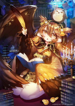 Rule 34 | 1girl, apple caramel, bird, book, brown eyes, brown hair, brown wings, candle, candlestand, coin, feathered wings, feathers, highres, holding, holding book, holding feather, indoors, library, long sleeves, original, owl, seiza, sitting, slit pupils, solo, thighhighs, white thighhighs, wings