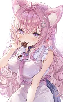 Rule 34 | 1girl, absurdres, animal ear fluff, animal ears, antenna hair, apron, black choker, black skirt, blush, braid, braided bun, breasts, candy, chocolate, chocolate heart, choker, collared shirt, commentary, crop top, cropped shirt, crossed bangs, crown braid, double bun, food, food in mouth, food on face, frilled shirt, frills, hair between eyes, hair bun, hakui koyori, hakui koyori (1st costume), hand up, heart, heart-shaped food, heart-shaped pupils, hexagon hair ornament, highres, hololive, large breasts, long hair, looking at viewer, midriff peek, mouth hold, necktie, pink apron, pink hair, pink necktie, pleated skirt, purple eyes, revision, shirt, sidelocks, simple background, skirt, sleeveless, sleeveless shirt, solo, symbol-shaped pupils, tail, very long hair, virtual youtuber, wasemkn, wavy hair, white background, white shirt, wispy bangs, wolf ears, wolf girl, wolf tail