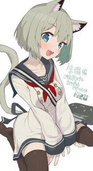 Rule 34 | 1girl, animal ear fluff, animal ears, between legs, black sailor collar, black thighhighs, blue eyes, blush, borrowed character, bouhuman, breasts, cat ears, cat girl, cat tail, collarbone, commentary request, commission, fangs, grey hair, hair between eyes, hand between legs, long sleeves, looking at viewer, mole, mole under eye, mole under mouth, neckerchief, open mouth, original, red neckerchief, sailor collar, school uniform, serafuku, shirt, shoes, simple background, sitting, skeb commission, small breasts, solo, tail, teeth, thighhighs, translation request, upper teeth only, white background, white shirt