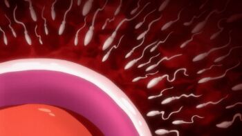 1girl 2022 20s animated animated_gif bunnywalker cross-section cum fertilization impregnation ovum saimin_seishidou sperm_cell t-rex_(animation_studio) tagme