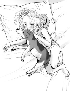 Rule 34 | 1girl, bad id, bad twitter id, bare legs, blush, cuddling, dog, greyscale, highres, hood, hooded vest, hoodie, inactive account, lying, masuda (yousaytwosin), messy hair, monochrome, on bed, on side, original, pillow, shorts, vest
