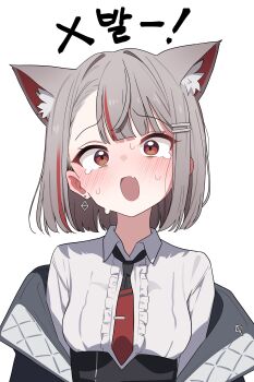 1girl :o absurdres animal_ear_fluff animal_ears blush cat_ears cat_girl censored collared_shirt commentary_request dripping_eye earrings fang frilled_shirt frills grey_hair hair_ornament hairclip highres jacket jacket_partially_removed jewelry korean_commentary korean_text looking_at_viewer multicolored_hair neneko_mashiro open_mouth parallel_hairclips raised_inner_eyebrows red_eyes saho_4545 shirt short_hair simple_background skin_fang solo stellive streaked_hair sweat translation_request upper_body virtual_youtuber white_background white_shirt wing_collar
