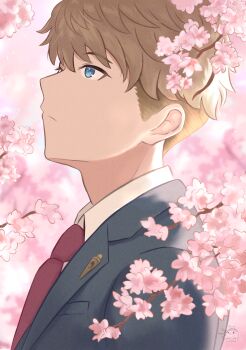 Rule 34 | 1boy, artofbluejay, blue eyes, branch, brown hair, cherry blossoms, closed mouth, collared shirt, commentary, eyelashes, grey jacket, highres, jacket, male focus, necktie, outdoors, red necktie, shirt, sideburns, solo, spring (season), spy x family, twilight (spy x family), upper body, white shirt