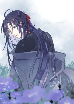 1boy ahoge bishounen black_hair black_hanfu blurry bokeh chinese_clothes coat depth_of_field eyelashes fduki_maro flower from_behind grass grey_coat grey_eyes hair_down hair_ribbon half_updo hanfu highres leaf long_hair looking_at_viewer looking_back male_focus modao_zushi off_shoulder official_alternate_costume official_alternate_hairstyle outdoors parted_lips purple_flower red_ribbon ribbon robe sidelocks sitting solo twitter_username upper_body very_long_hair wei_wuxian wei_wuxian_(yiling_laozu)