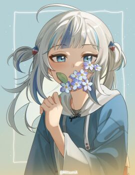 1girl ahoge blue_eyes blue_hair blue_hoodie blunt_bangs commentary english_commentary floating_hair flower gawr_gura gawr_gura_(1st_costume) grey_hair hair_ornament highres holding holding_flower hololive hololive_english hood hoodie long_hair long_sleeves looking_at_viewer mittsu multicolored_hair shark_hair_ornament solo streaked_hair two_side_up upper_body virtual_youtuber wide_sleeves